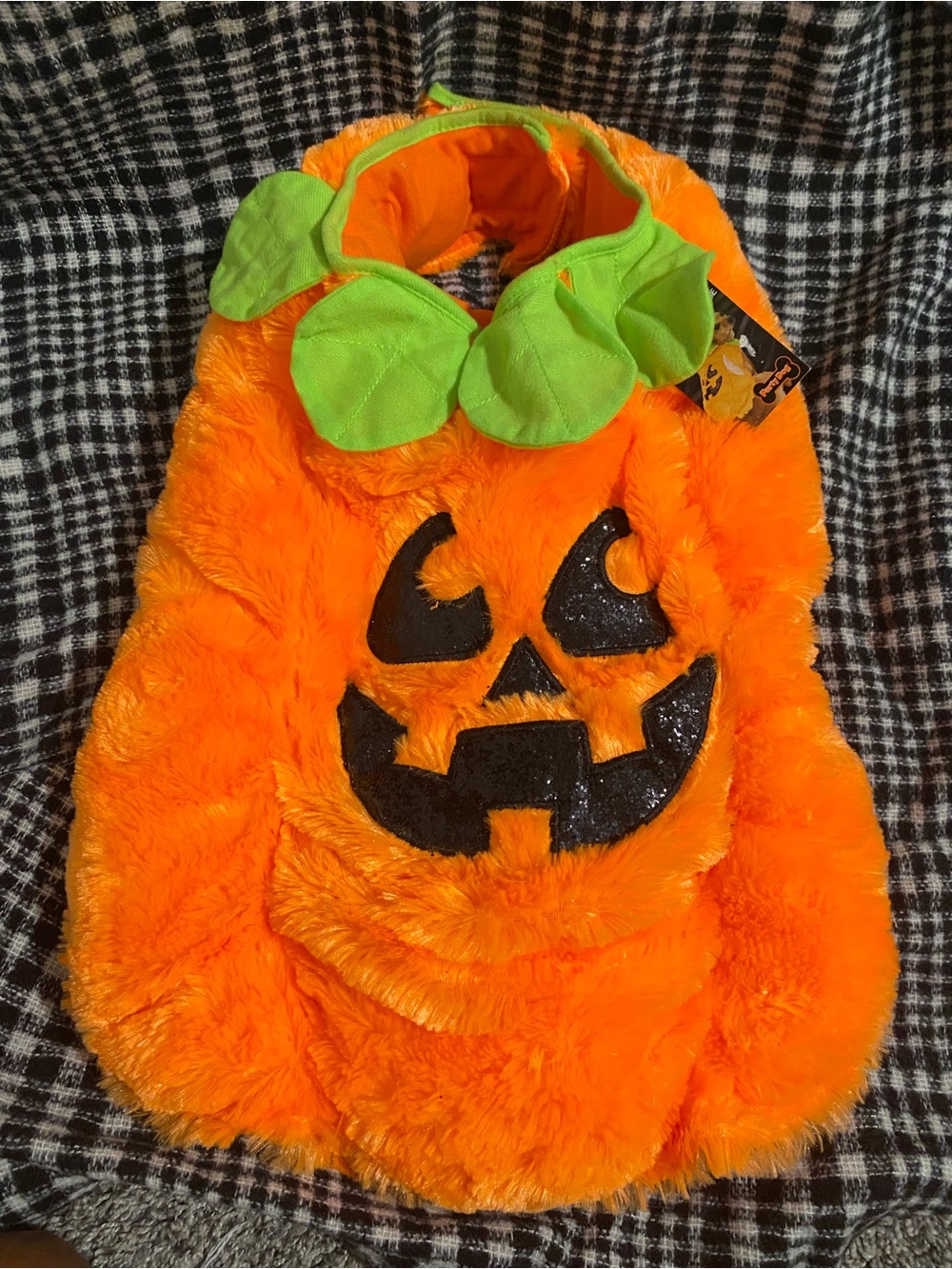 Pumpkin Pet Halloween Costume